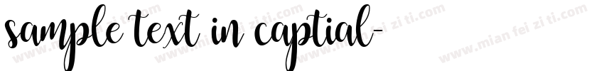sample text in captial字体转换